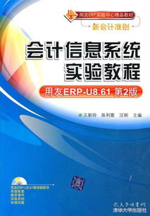 會計咨詢在孔網分類中的價值與展望