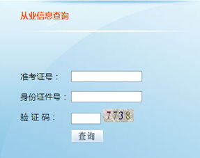 2015年上半年天津會(huì)計(jì)從業(yè)資格考試成績(jī)查詢?nèi)肟诩把涌甲稍冎改?></a></div>
<div   id=